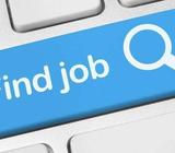 Seeking Job
