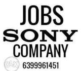 Sony Ltd company (All India Branch) are hiring