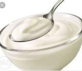 100% pyor dudh dahi paneer ghee mangal yadav dairy