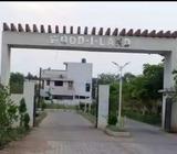 1500 Sq plot for sale in Amleshwar (Nine six six nine seven 62444)