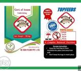Topfeeds floating fish feed