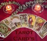 Tarrot card reader