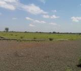 Mirgaon Phaltan 2.5acr