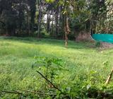 10cent nilam for sale in panayikulam.cheep rate