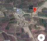 1.16 acre Petrol pum banava jevi road touch jamin