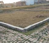 1600 rup sqf Plot available in taramandal , bhagat