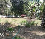350000 per cente ...300 metre away from mundoor Thrissur highway