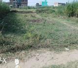 Ahroi road Amroha