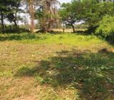 Field view plot at Sangolda, fully fenced with