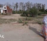 Tundla tehsil K barabar etah-tundla road se 40-45 meters ki duri pr