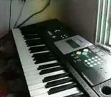 Piano teachar at your home