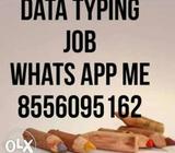 Data typing jobs