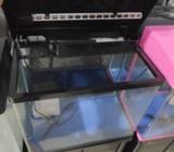 New fish tank