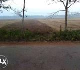 Stithiban plot 1.2 acre Near malatipatpur water