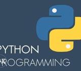 Fundamental Python training at your home with