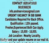 Freshers experienced bot can apply. Qualification