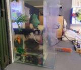 Aquarium new condition. Price slightly negotiable
