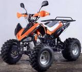 Viper Atv 110 bike petrol engine