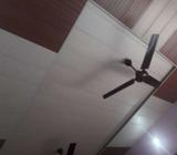 85 Rupaiya Fort PVC panel ceiling