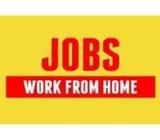 Work From Home Data Entry Job Part Time Full Time Work Offline Jobs