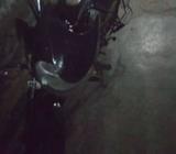 Bajaj Discover 50000 Kms 2012 year