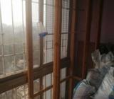 Bird cage. Wood framework. 1 year old. Serious