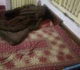 Need a roommate 1 bed