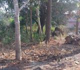 504 sq metre settlement plot for sale at Fatorpa