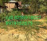 Ujan abhoynagar lal school er opposite e 1.5