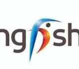 Kingfisher hiring 126 Male Candidates - All over India. A very good s