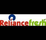 Reliance Fresh Urgent Hiring limited vacancy left