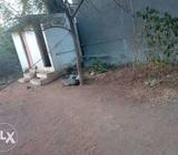 JJ garden .E.b.colony north gandhigramam contact num 98949441'28