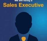 Sales executives / Aquisition Manager for