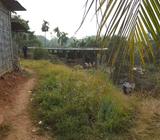 Eksona plot Good condition water and
