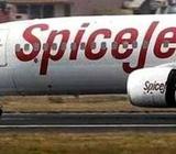 Requirment In Spice jet Staff. Qualification ;