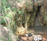 Orchard land for sale in calangute goa